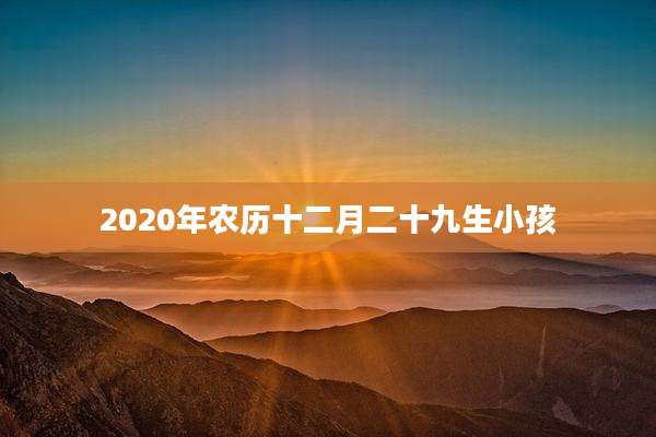 2020年农历十二月二十九生小孩