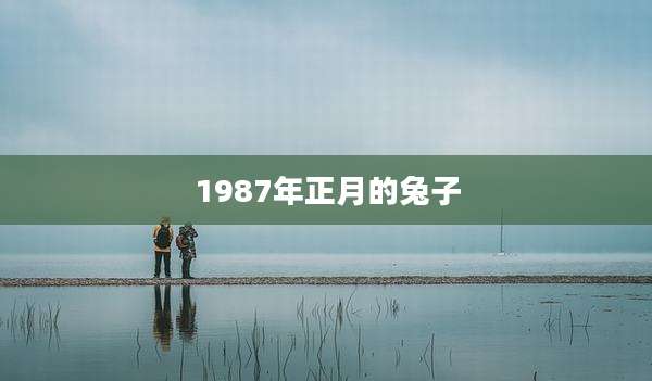 1987年正月的兔子