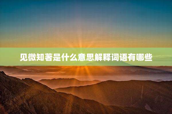 见微知著是什么意思解释词语有哪些