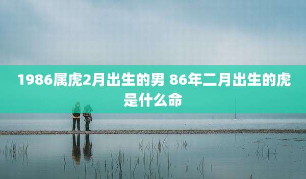 1986属虎2月出生的男 86年二月出生的虎是什么命