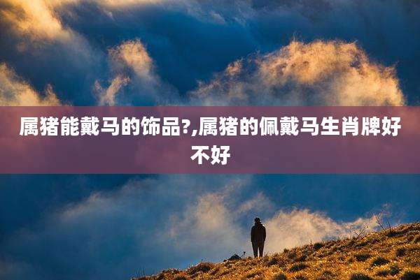 属猪能戴马的饰品?,属猪的佩戴马生肖牌好不好