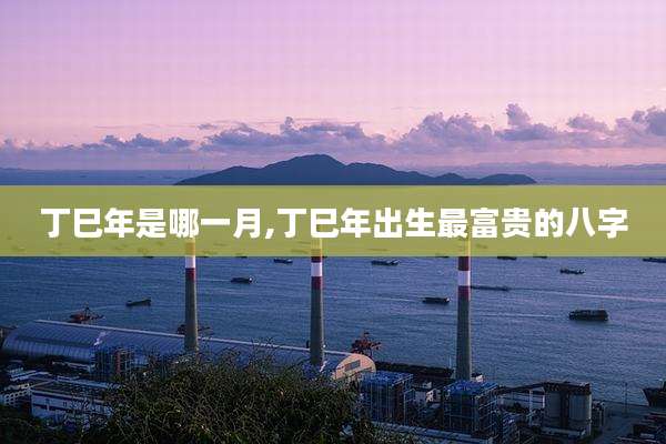 丁巳年是哪一月,丁巳年出生最富贵的八字