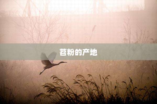 苕粉的产地