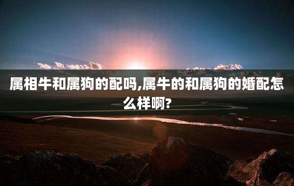 属相牛和属狗的配吗,属牛的和属狗的婚配怎么样啊?