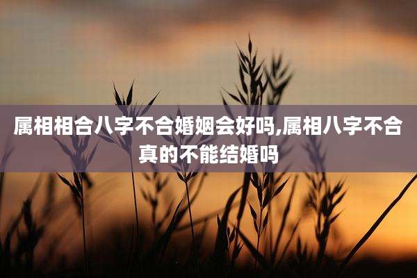 属相相合八字不合婚姻会好吗,属相八字不合真的不能结婚吗