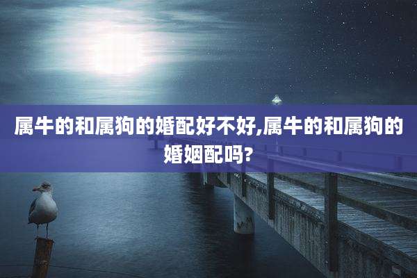 属牛的和属狗的婚配好不好,属牛的和属狗的婚姻配吗?