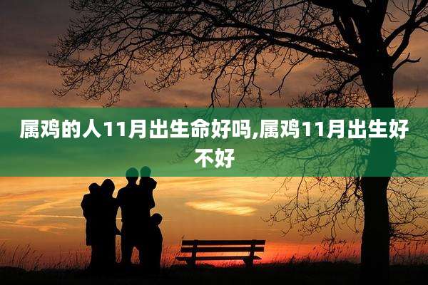 属鸡的人11月出生命好吗,属鸡11月出生好不好