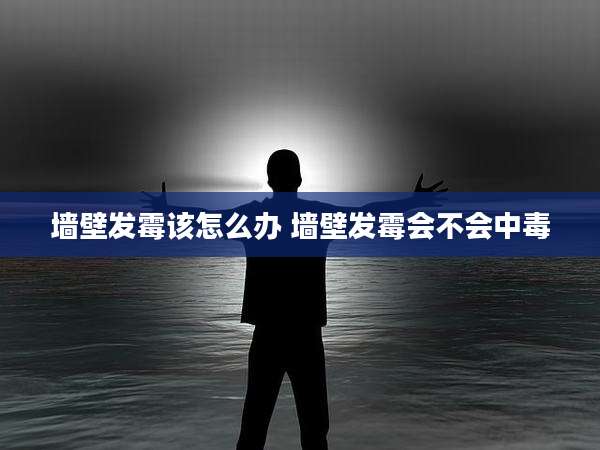 墙壁发霉该怎么办 墙壁发霉会不会中毒