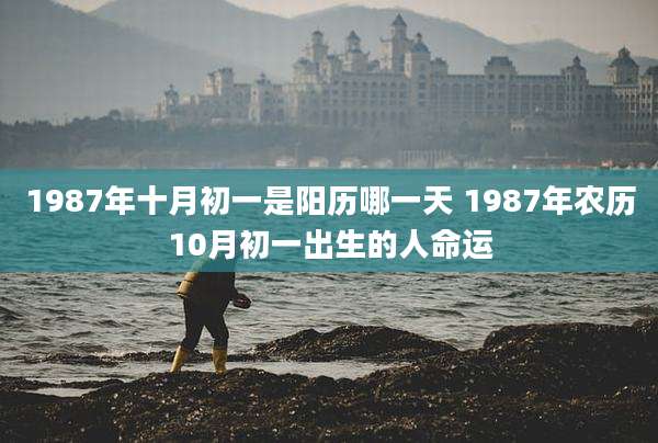 1987年十月初一是阳历哪一天 1987年农历10月初一出生的人命运