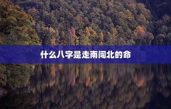 什么八字是走南闯北的命