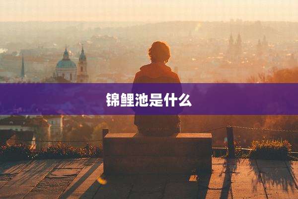 锦鲤池是什么