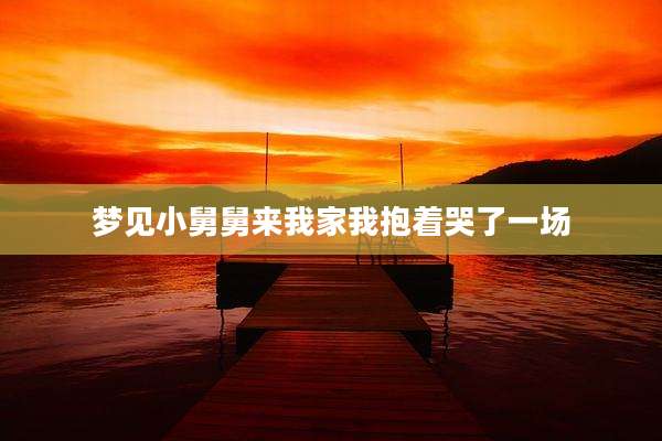 梦见小舅舅来我家我抱着哭了一场