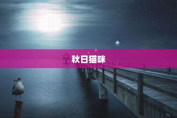 秋日猫咪