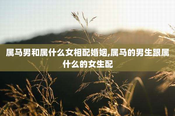 属马男和属什么女相配婚姻,属马的男生跟属什么的女生配