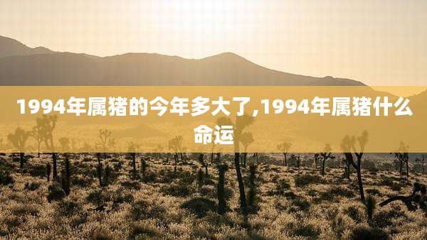 1994年属猪的今年多大了,1994年属猪什么命运