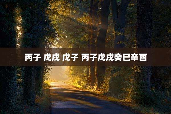 丙子 戊戌 戊子 丙子戊戌癸巳辛酉