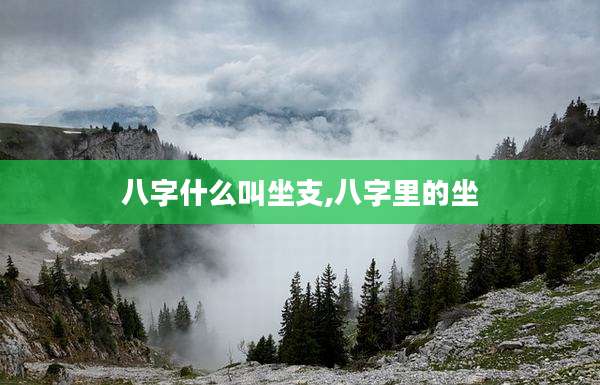 八字什么叫坐支,八字里的坐