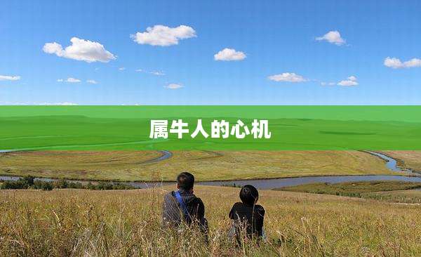 属牛人的心机
