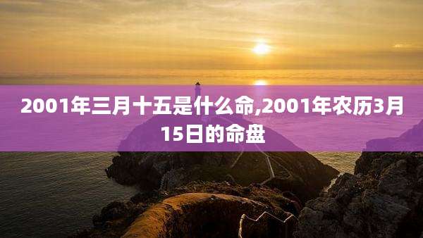 2001年三月十五是什么命,2001年农历3月15日的命盘