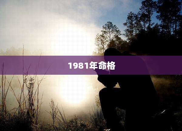 1981年命格