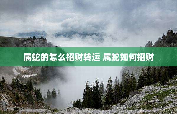 属蛇的怎么招财转运 属蛇如何招财