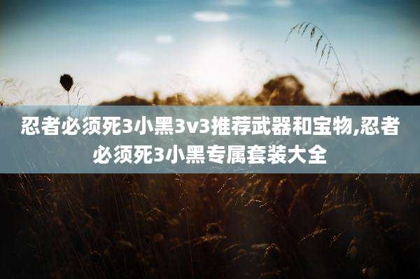 忍者必须死3小黑3v3推荐武器和宝物,忍者必须死3小黑专属套装大全