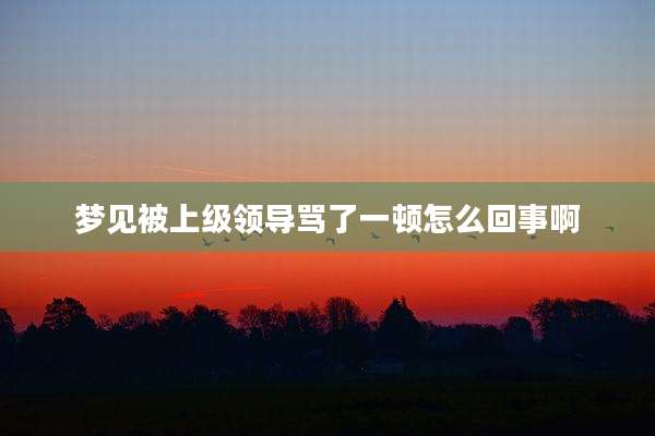 梦见被上级领导骂了一顿怎么回事啊