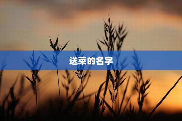 送菜的名字