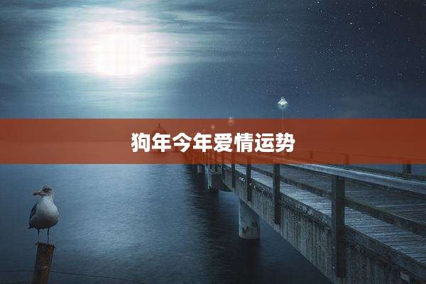 狗年今年爱情运势