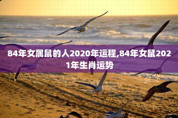84年女属鼠的人2020年运程,84年女鼠2021年生肖运势