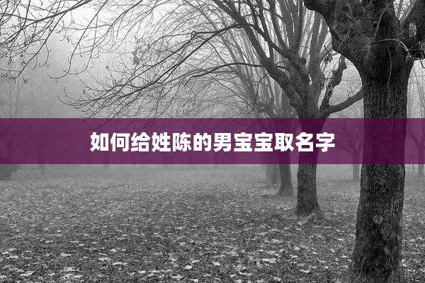 如何给姓陈的男宝宝取名字
