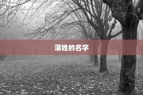 蒲姓的名字