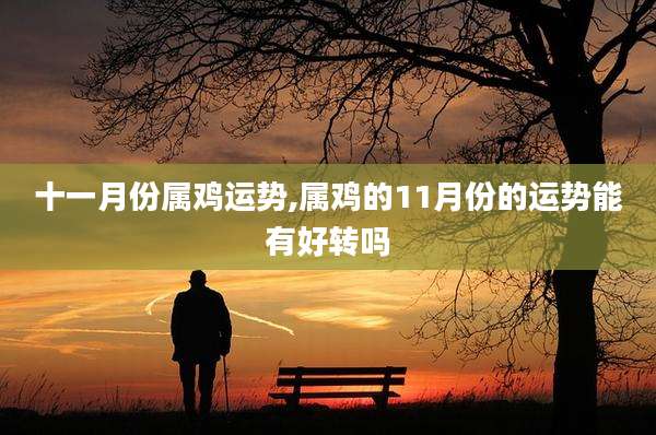 十一月份属鸡运势,属鸡的11月份的运势能有好转吗