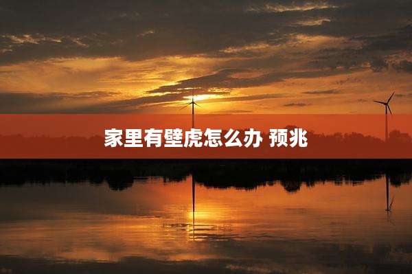 家里有壁虎怎么办 预兆