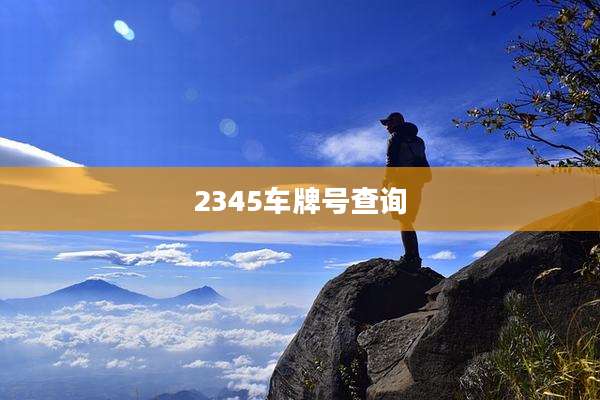 2345车牌号查询