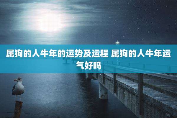 属狗的人牛年的运势及运程 属狗的人牛年运气好吗