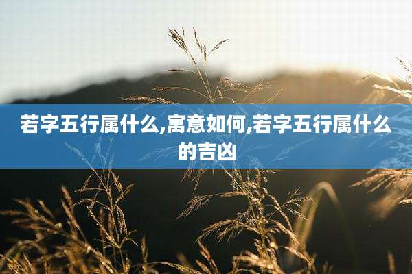 若字五行属什么,寓意如何,若字五行属什么的吉凶