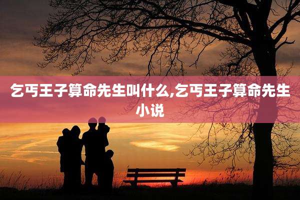 乞丐王子算命先生叫什么,乞丐王子算命先生小说