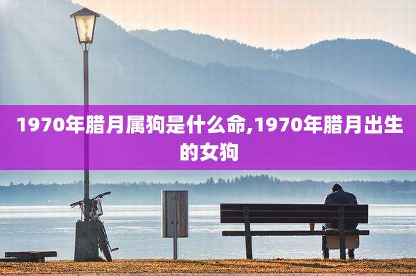 1970年腊月属狗是什么命,1970年腊月出生的女狗