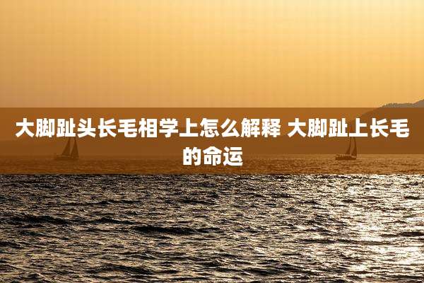大脚趾头长毛相学上怎么解释 大脚趾上长毛的命运