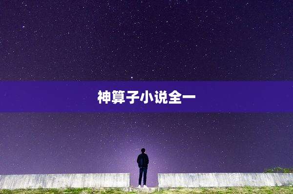 神算子小说全一