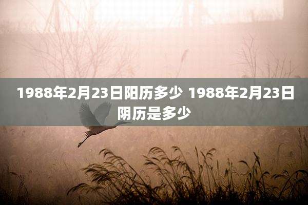 1988年2月23日阳历多少 1988年2月23日阴历是多少