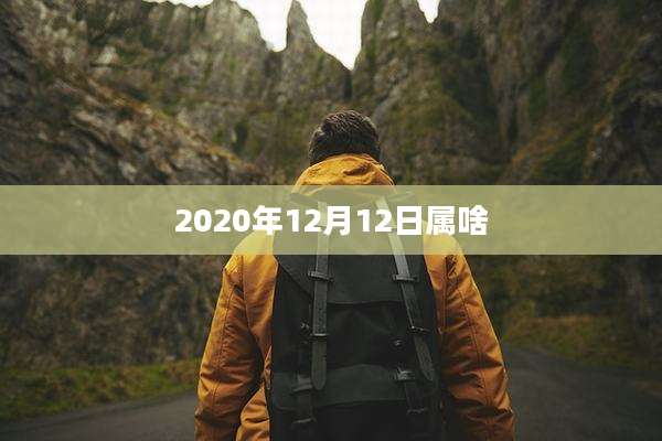 2020年12月12日属啥