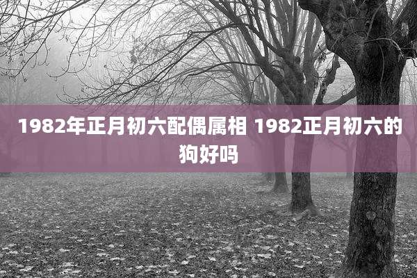 1982年正月初六配偶属相 1982正月初六的狗好吗