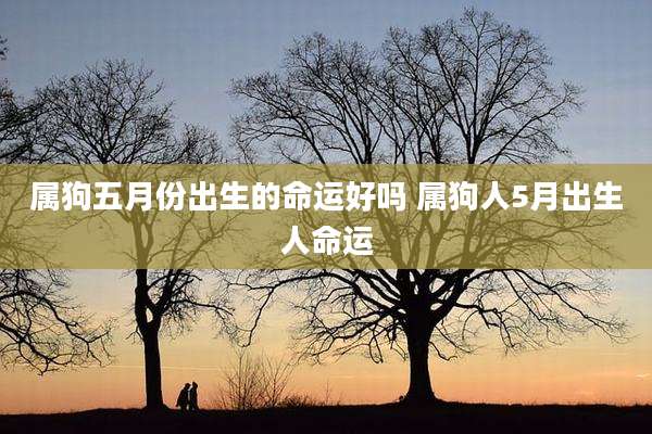 属狗五月份出生的命运好吗 属狗人5月出生人命运
