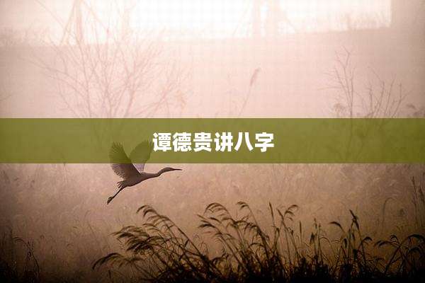 谭德贵讲八字
