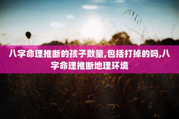 八字命理推断的孩子数量,包括打掉的吗,八字命理推断地理环境