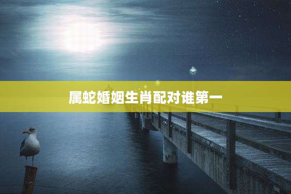 属蛇婚姻生肖配对谁第一