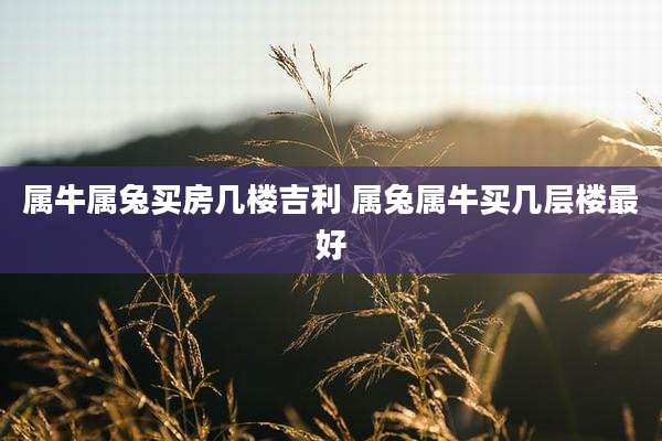 属牛属兔买房几楼吉利 属兔属牛买几层楼最好