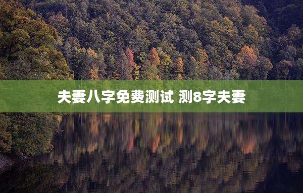 夫妻八字免费测试 测8字夫妻